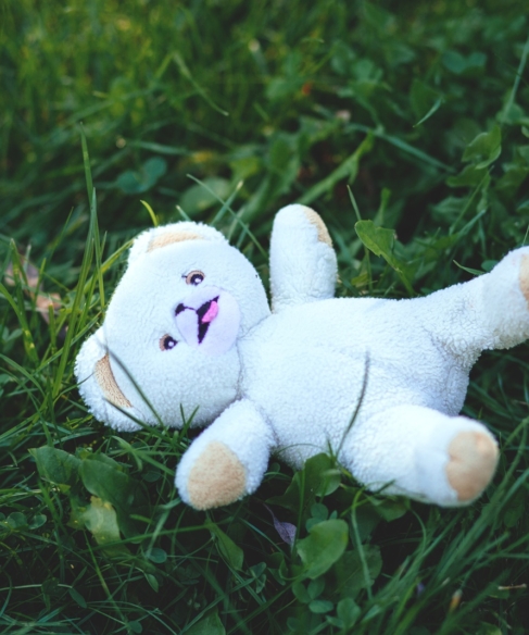 Η Ρούλα της οργής